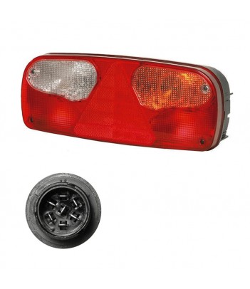 ECOPOINT 2 SINISTRO 24V CON TRIANGOLO - LUCE INGOMBRO LED - 2 AUX