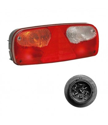 ECOPOINT 2 SINISTRO 24V CON TRIANGOLO - LUCE INGOMBRO LED - 2 AUX